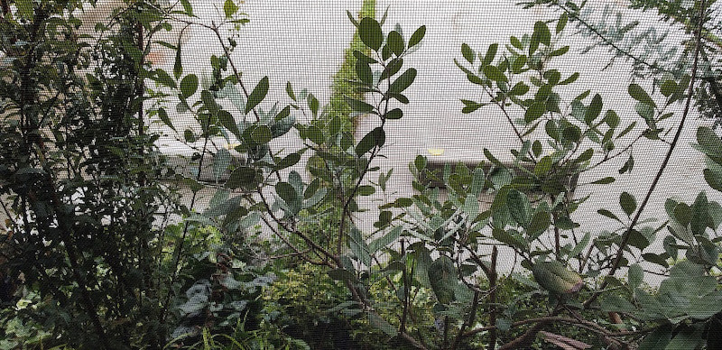 ないと困るけど…