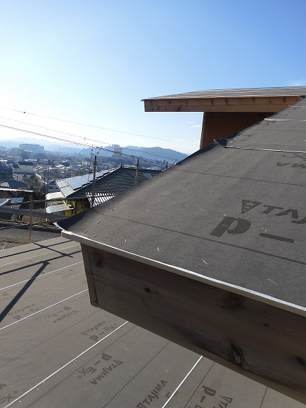 下上野の家・D君